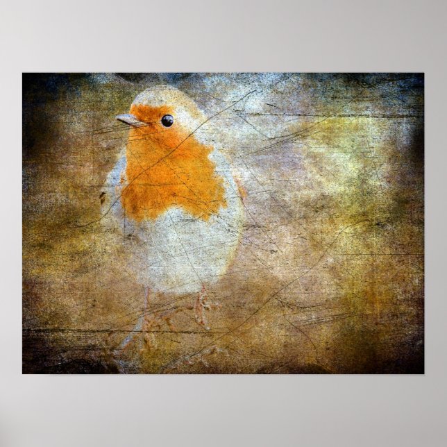 Poster Robin Grunge (Frente)