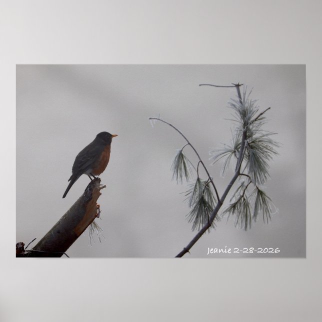 Poster Robin no Inverno (Frente)