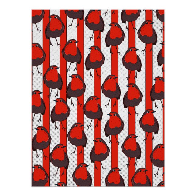 Pôster Robin Pattern (Frente)