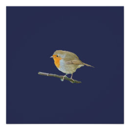 Pôster Robin Redbreast Poster