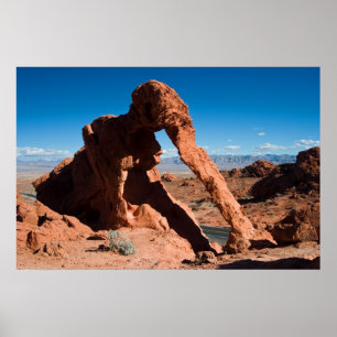 Poster Rocha do elefante