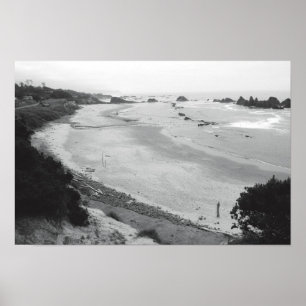 Pôster Rocha do selo - Duotone