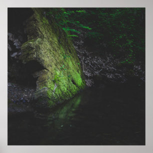 Poster Rocha verde-mossita com reflexo na água