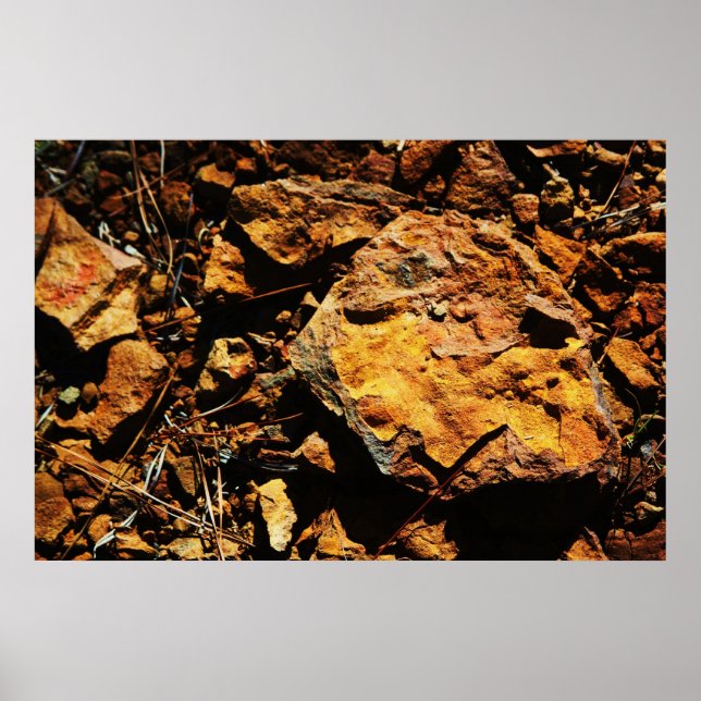 Pôster Rochas (Frente)