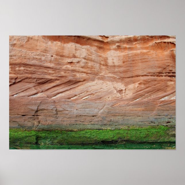 Poster Rochas vermelhas da Costa Jurássica, Devon, Inglat (Frente)