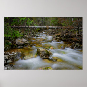 Poster rochoso da angra da floresta