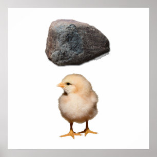 Pôster Rock + Pintinho