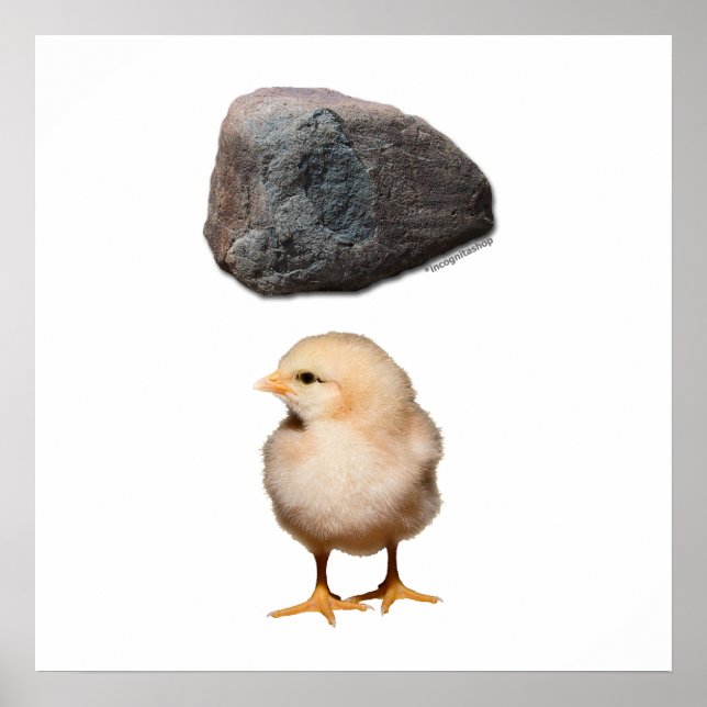 Pôster Rock + Pintinho (Frente)