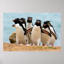 Poster Rockhopper Penguins de 8,99