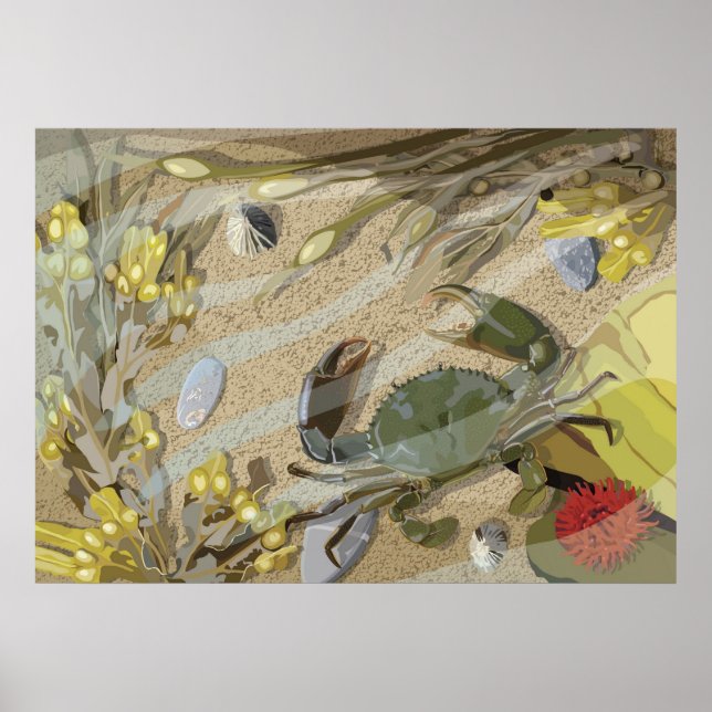 Poster Rockpool (Frente)