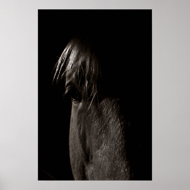 Pôster Rocky (Frente)