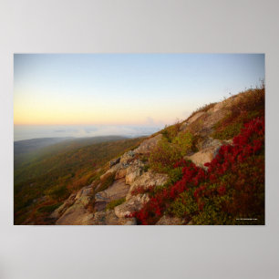 Poster Rocky Hillside, Red Flowers, Acadia National Park