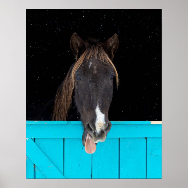 Poster Rocky Mountain Yawn (Frente)