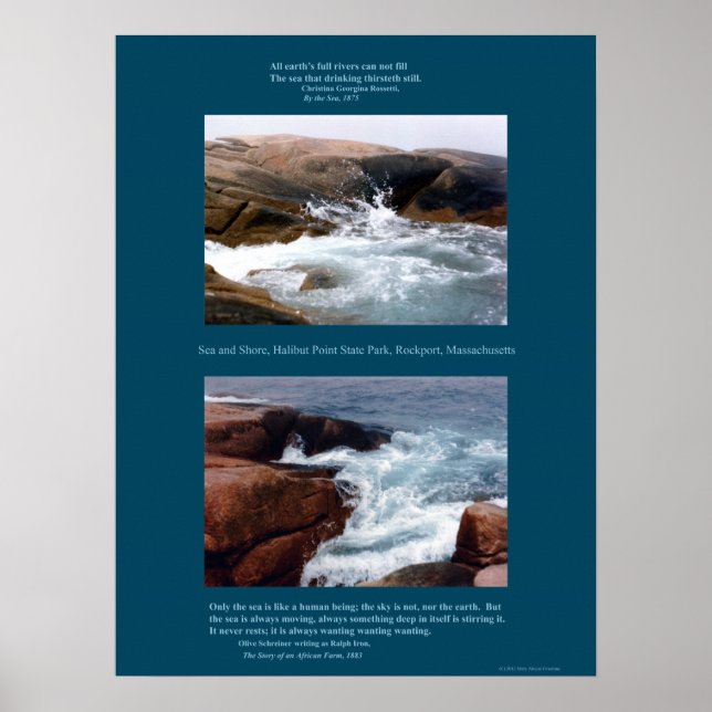 Pôster Rocky Shore (Frente)