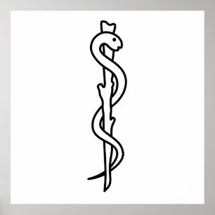 Pôster Rod de Asclepius