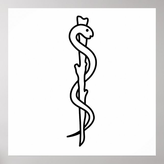 Pôster Rod de Asclepius (Frente)