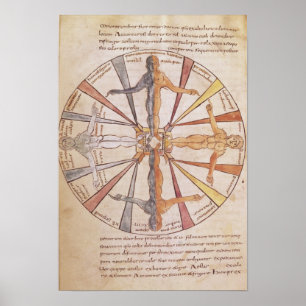 Pôster Roda das estações e dos meses