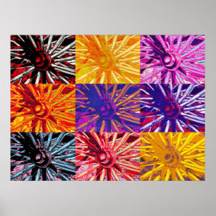 PÔSTER RODA DE WAGON