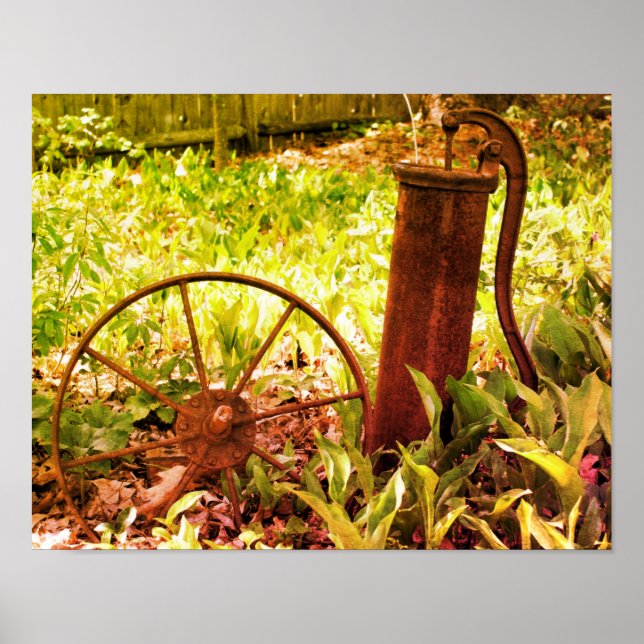 Poster Roda E Bomba Enrugada Do Jardim Flor (Frente)