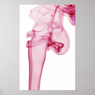 Pôster Roda rosa