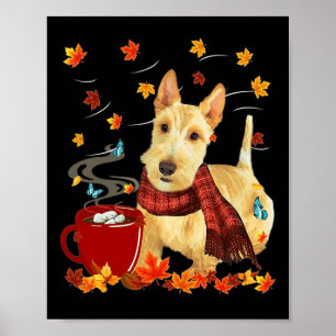 Poster Roda Scottish Terrier - Queda - Chocolate - Quente
