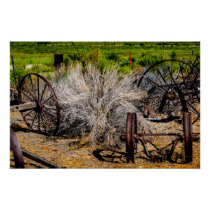 Pôster Rodas de Rancho Histórico Brilhante