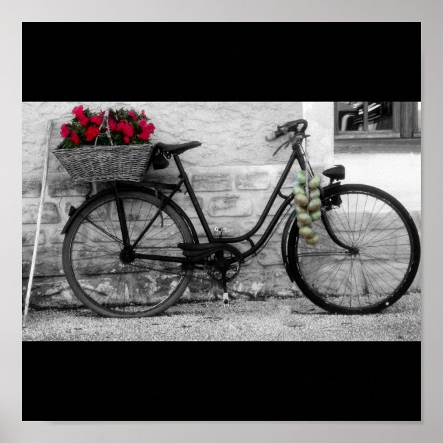 Pôster Rodas e Cebolas francesas (Frente)