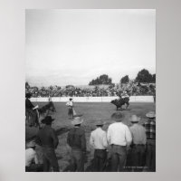 Rodeo