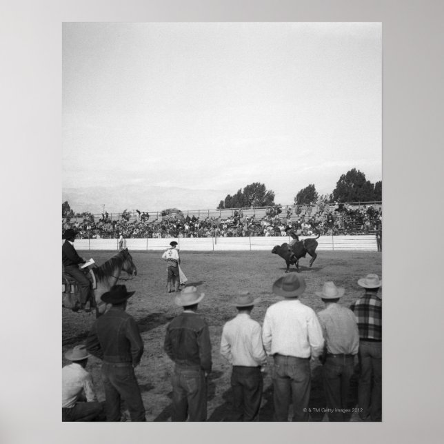 Pôster Rodeo (Frente)