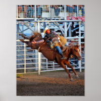 Rodeo Bucking