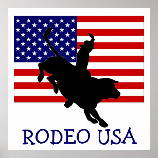 PÔSTER RODEO USA
