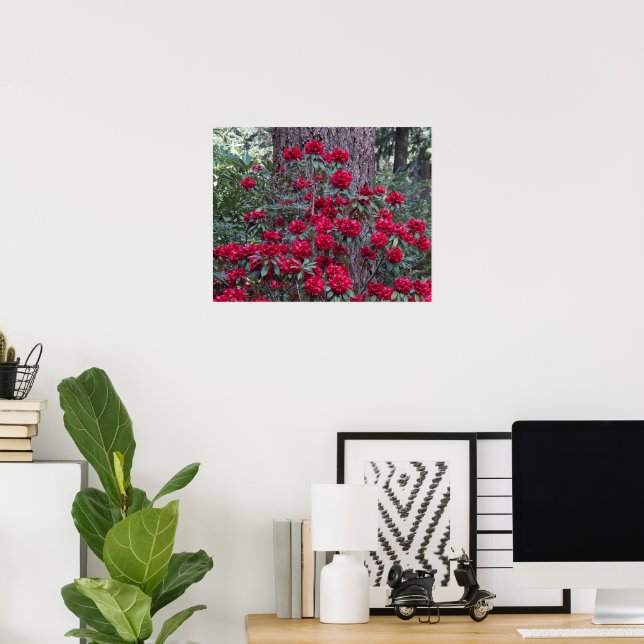 Pôster Rododendros Vermelhos Profundos Florais Fotográfic (Escritório em casa)