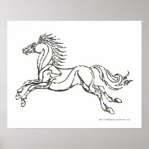 Pôster Rohan Symbol