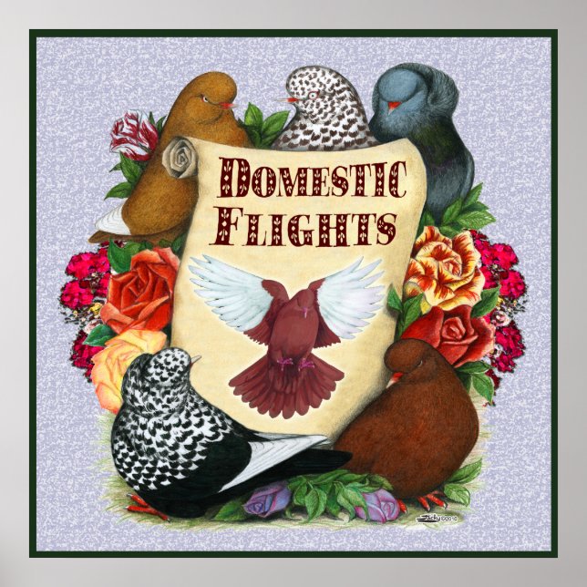 Pôster Rolagem de Voo Doméstico (Frente)