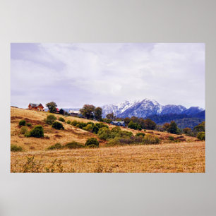 Poster Rolando Colinas