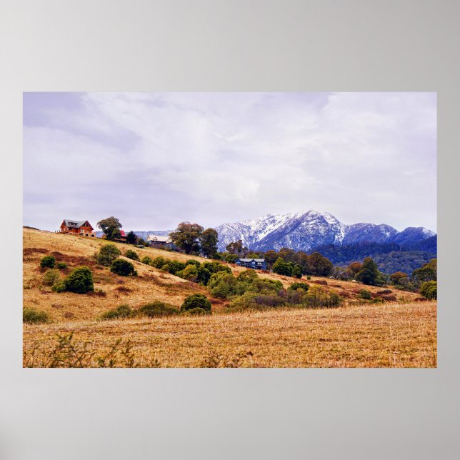 Poster Rolando Colinas (Frente)