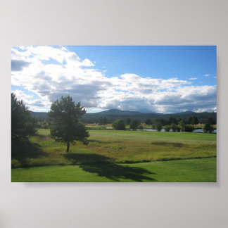 Pôster Rolando Colinas