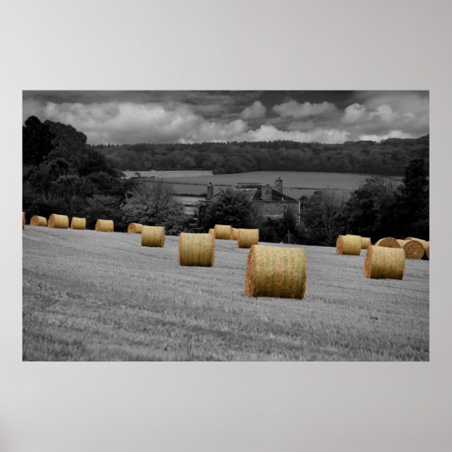 Poster Rolando para Casa (Frente)