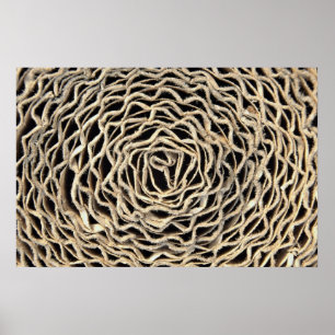 Pôster Roll de papel ondulado