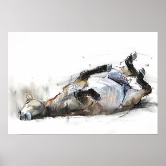 Poster Rolling Rolling Rolling 2011 (Frente)