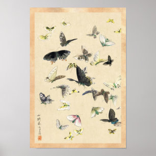 Poster Rolo japonês legal da borboleta do ukiyo-e do