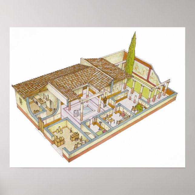 Pôster Roma. Domus (Frente)