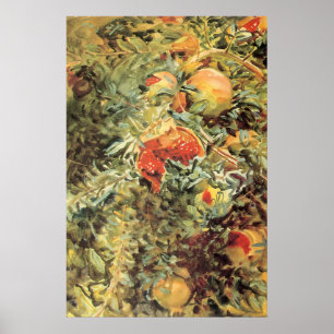Poster Romã II por Sargent, arte do jardim do vintage