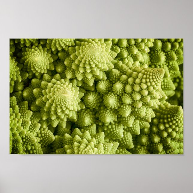 Pôster Romanesco com legumes de brócolis fecha (Frente)
