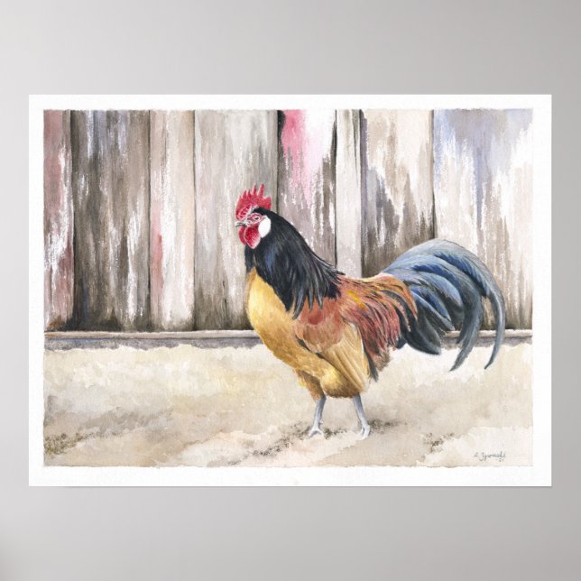 Poster Rooster Watercolor Art Print (Frente)