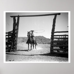 Poster Roping do vaqueiro