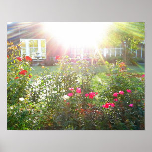 Poster ROSA
