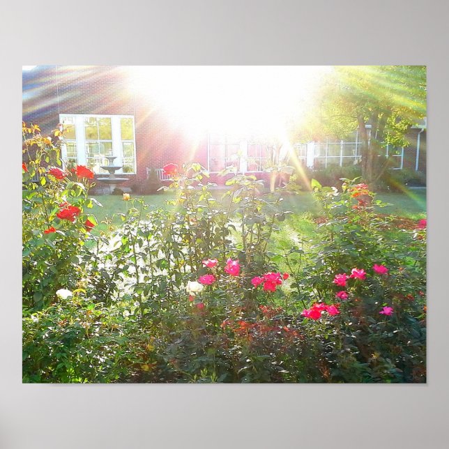 Poster ROSA (Frente)