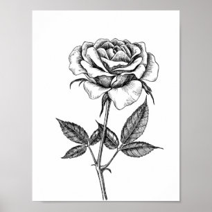 Poster Rosa