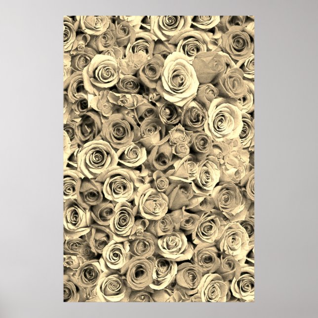 Poster Rosa (Frente)